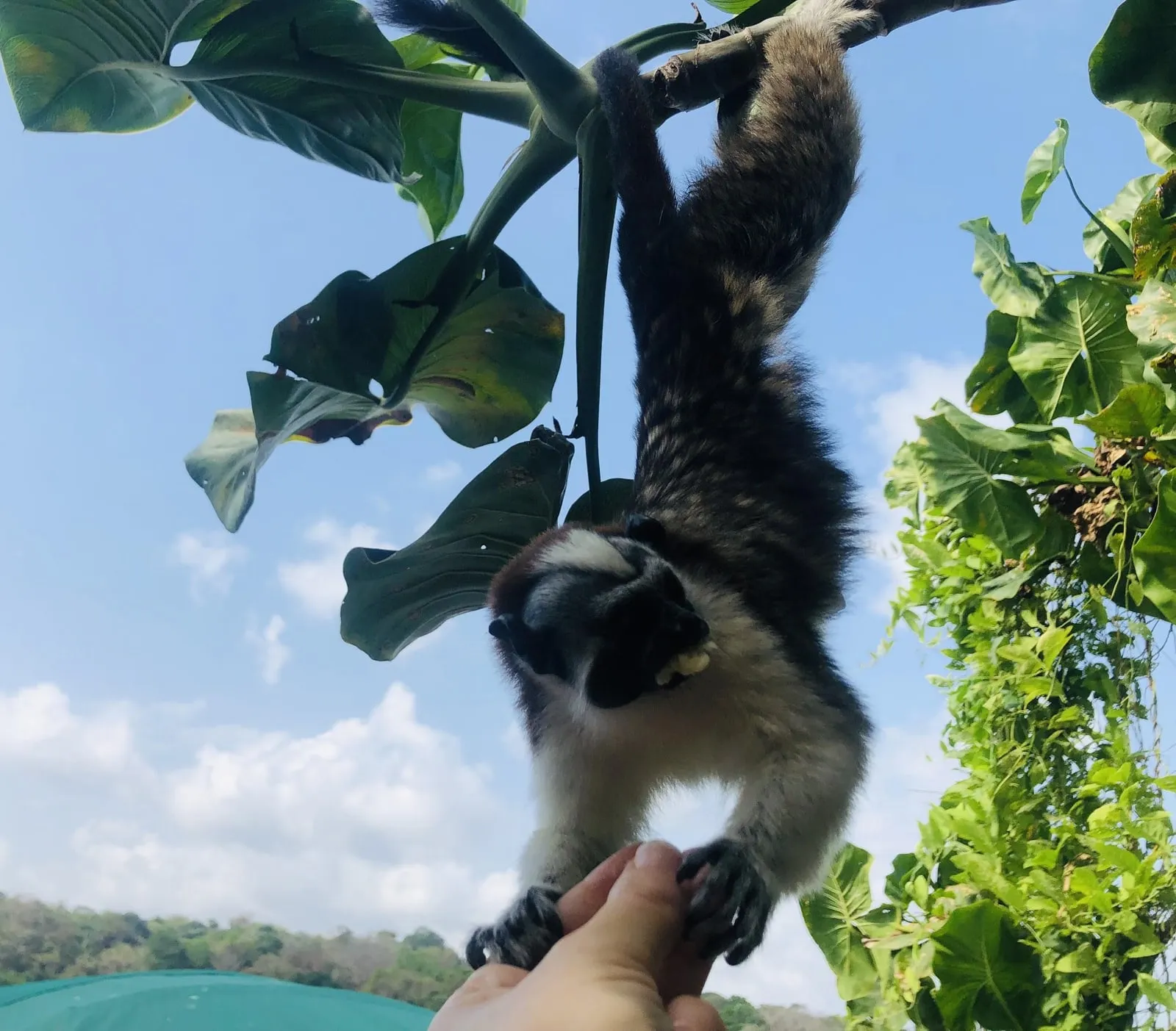 Photo from “A Long Weekend Girl’s Trip to Panama City, Panama – Advice &amp; Tips Included!”